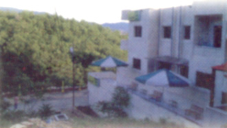 صور للفندق